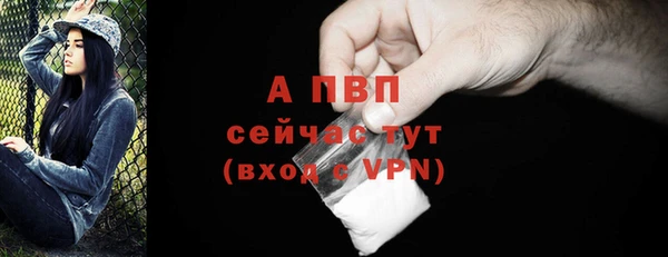 мяу мяу мука Осташков