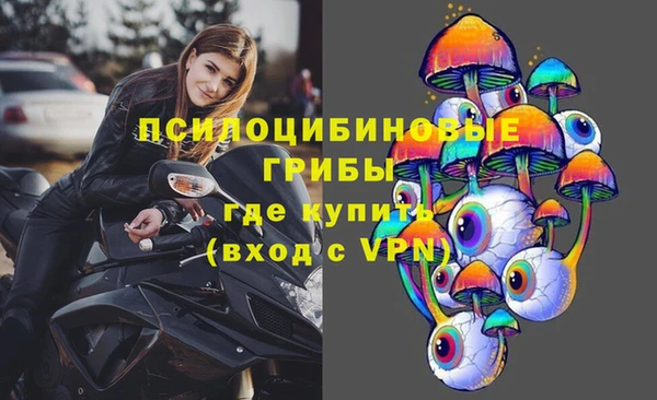мяу мяу мука Осташков