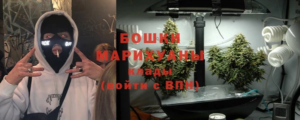 apvp Осинники