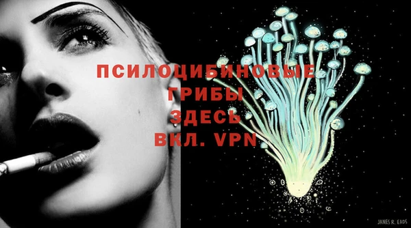 apvp Осинники