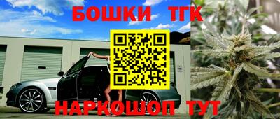 СК Пугачёв