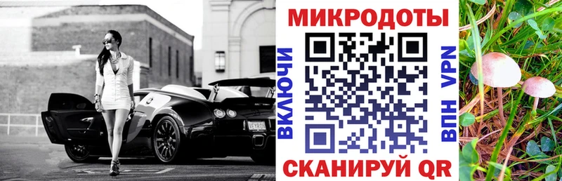 Галлюциногенные грибы мухоморы Северобайкальск